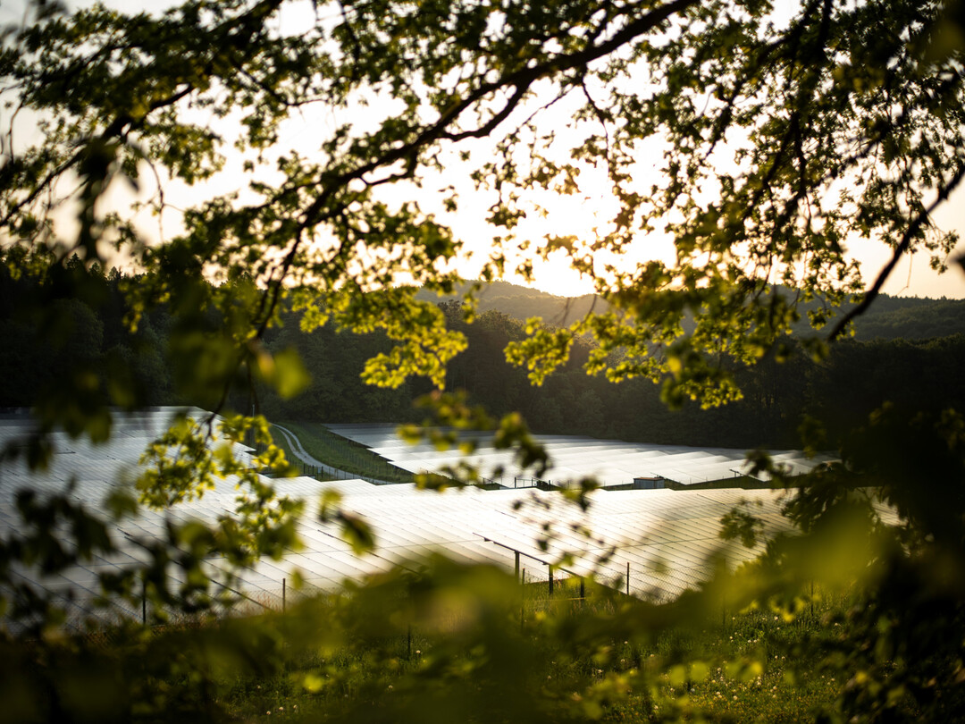 Solarstrom: Durch die kommunale Beteiligung nach � 6 EEG an Solar- oder Windparks k�nnen Gemeinden pro eingespeister Kilowattstunde Solarstrom eine gesetzlich definierte Zahlung erhalten. Die Firma Greenovative nutzt dieses freiwillige Instrument seit Jahren und sorgt so f�r eine direkte finanzielle Teilhabe der Kommunen.