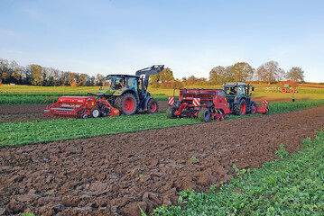 Rechts im Bild ist die Direktsaat von Winterweizen in eine gewalzte Zwischenfrucht zu sehen, links die Aussaat auf herk�mmliche Weise. 