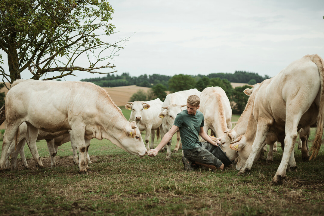 „Der Berufsnachwuchs investiert nur dann in die Höfe, wenn die Landwirtschaft attraktive und zukunftssichere Perspektiven bietet“, stellt Leon Ranscht, stellvertretender Bundesvorsitzende des BDL, klar.