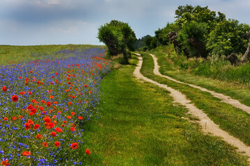 Wie effizient sind best�uberfreundlicher Ma�nahmen in der Landwirtschaft in Baden-W�rttemberg? Danach fragt eine Masterarbeit an der Albert-Ludwigs-Universit�t in Freiburg.