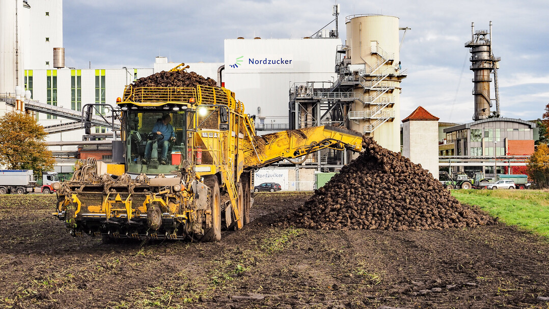 D�nger- und Zuckerindustrie wollen die CO2-Abgabe bei der R�benproduktion senken.&nbsp;