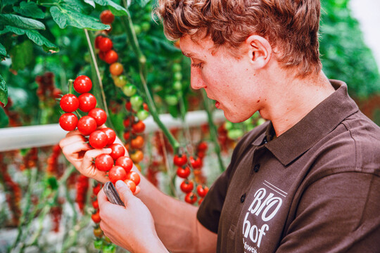 Kooperiert wird in den Bereichen Rohwarenmanagement, Qualit�tssicherung und Vermarktung. So soll laut Bio-Allianz die wirtschaftliche Basis der Betriebe abgesichert werden. 