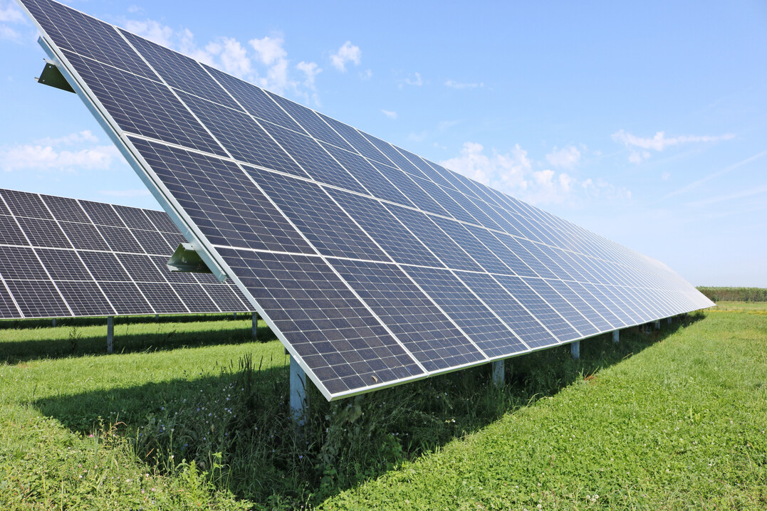 Laut dem ZALF reduziert Diversifizierung Risiken und sichert die Nachhaltigkeit.