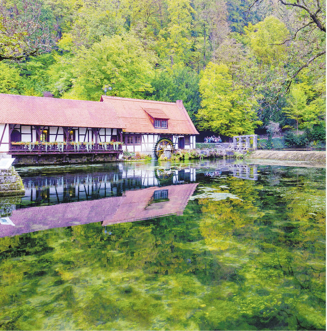 Traditionell am Pfingstmontag, diesmal am 10. Juni, ist der M�hlentag". Mehr als 100 Wind-, Wasser-, Dampf- und Motorm�hlen im L�ndle lassen Fl�gel und Wasserr�der drehen, setzen die Mahlg�nge in Betrieb und laden die G�ste zu F�hrungen und kleinen Festen ein. Welche M�hlen in Baden-W�rttemberg mitmachen, finden Sie unter www.dgmbw.de/muehlen-in-bw/muehlentag-2019/