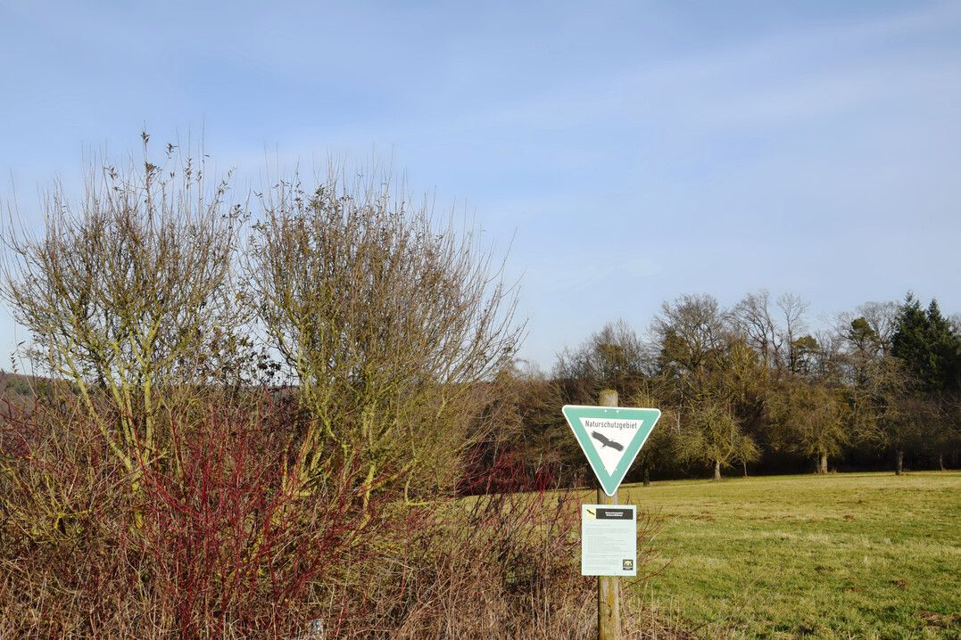 Fehlt der EU das Geld, um das Naturwiederherstellungsgesetz (NRL) zu finanzieren?