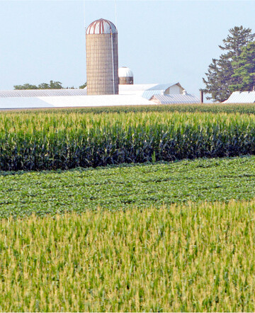 In den USA sind viele Fl�chen zwei bis drei Wochen zu sp�t bestellt worden. Diese Vegetationszeit kann vielerorts nicht mehr aufgeholt werden.