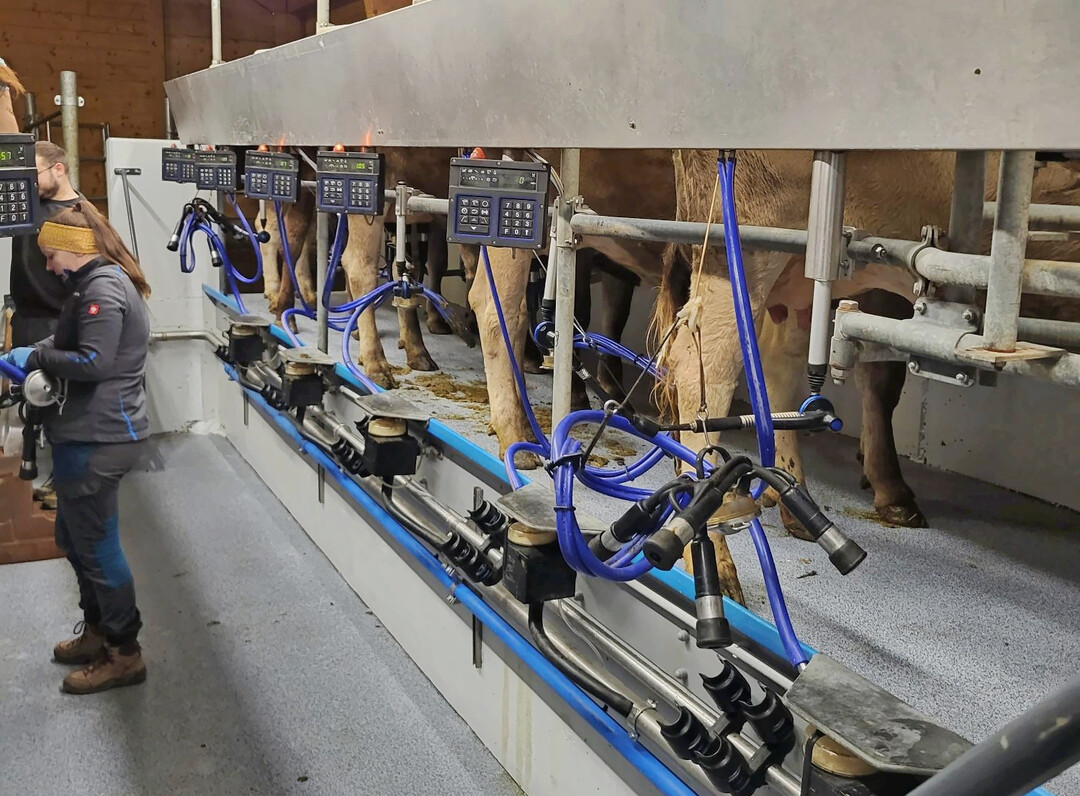  Die Gesch�fte mit Melk-, K�hl- und F�tterungstechnik liefen 2025 gut. Ursache waren stabile Milchpreise und Milchmengen. 