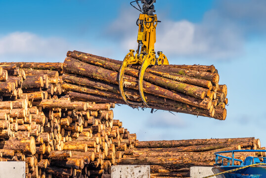 Die Preise f�r Nadelholz in den Segmenten Langholz und Abschnitte bringen derzeit gute Erl�se. Nadelholzanbieter sind insofern in einer komfortablen Lage. 