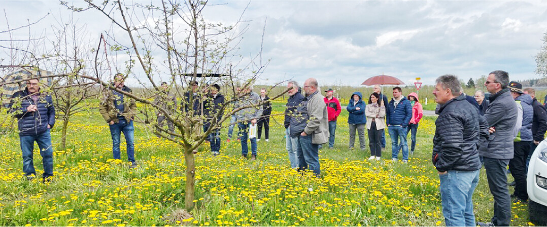 F�r die Fruchtsaftkeltereien im Land stellt sich die Frage der Rohstoffversorgung.