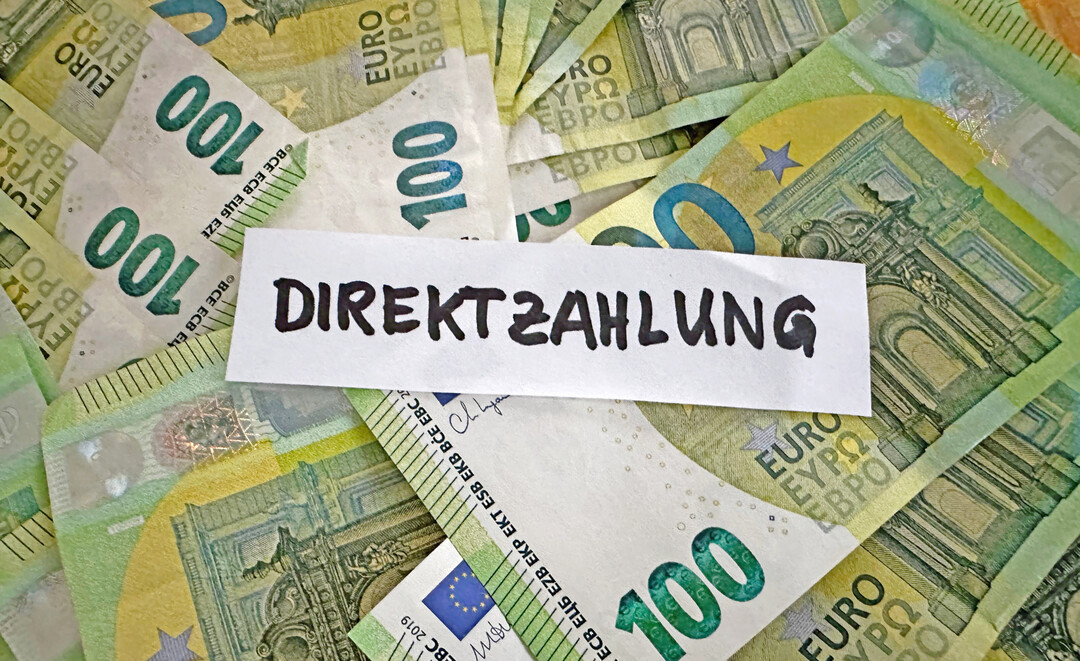 Die Gr�nen fordern, die EU-Direktzahlung in Form von pauschalen Fl�chenpr�mien zu beenden. Es soll mehr in Umwelt-, Klima- und Tierschutzleistungen investiert werden. 