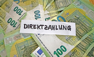 Die Gr�nen fordern, die EU-Direktzahlung in Form von pauschalen Fl�chenpr�mien zu beenden. Es soll mehr in Umwelt-, Klima- und Tierschutzleistungen investiert werden. 