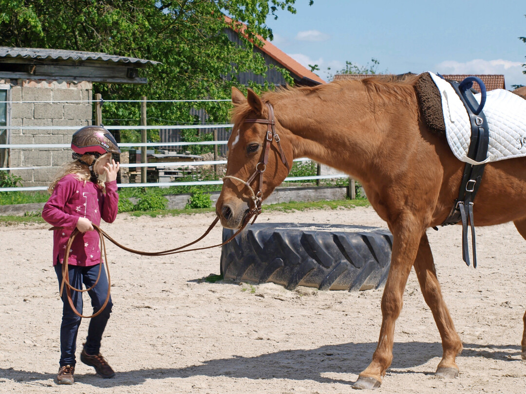 Kind und Pferd müssen bei einer Reitbeteiligung gut zusammenpassen.