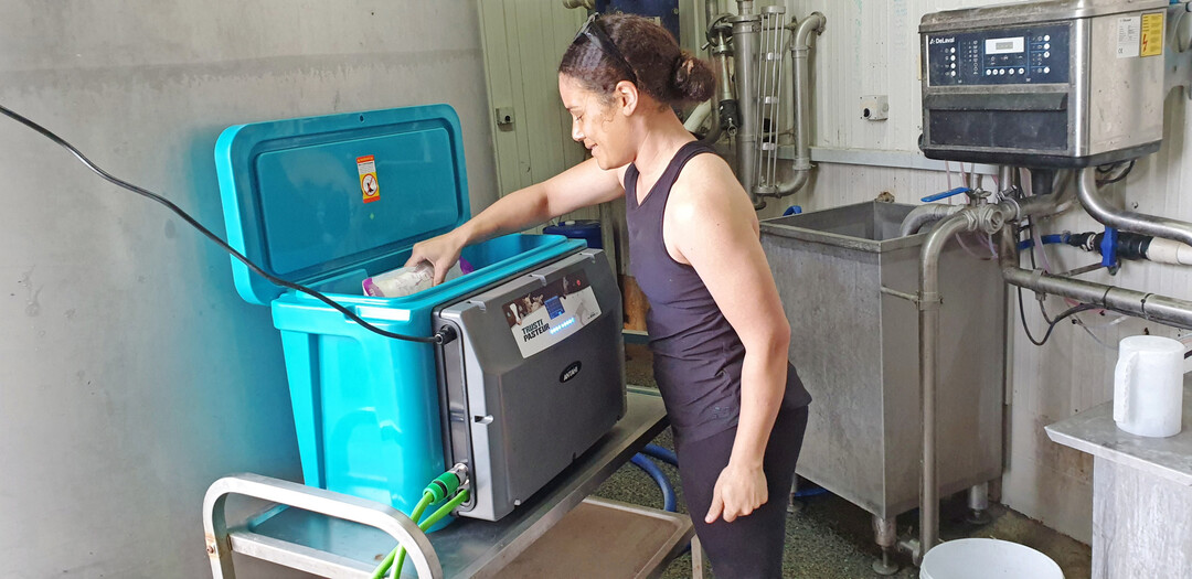 Mit dem Trusti Colostrum Pasteurisator l�sst sich die K�lbermilch aufbereiten.