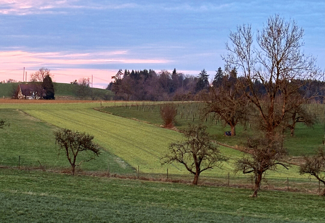Landschaft am Bodensee.