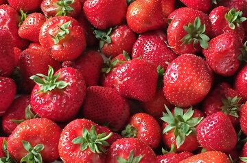 Leckere Erdbeeren