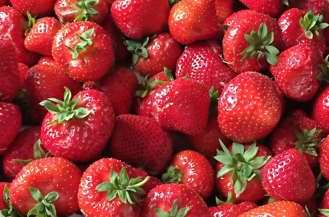 Leckere Erdbeeren
