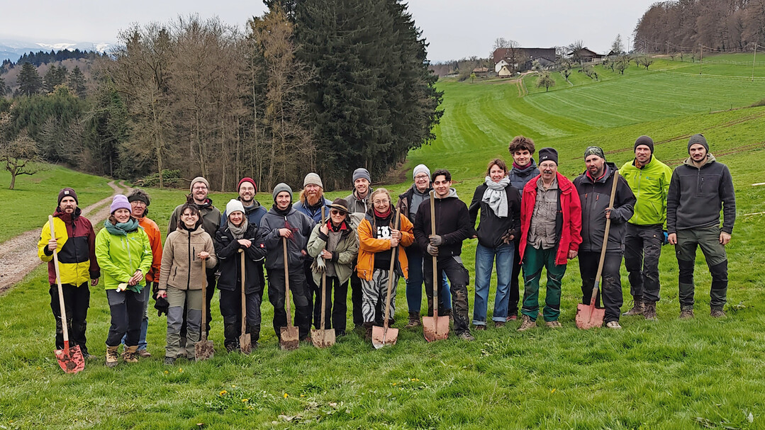 18 Freiwillige halfen bei der eint�gigen Pflanzaktion mit. Teils kamen sie �ber die Universit�t Freiburg, teils waren es Menschen, die schon bei anderen Naturpark-Projekten freiwillig aktiv waren. 