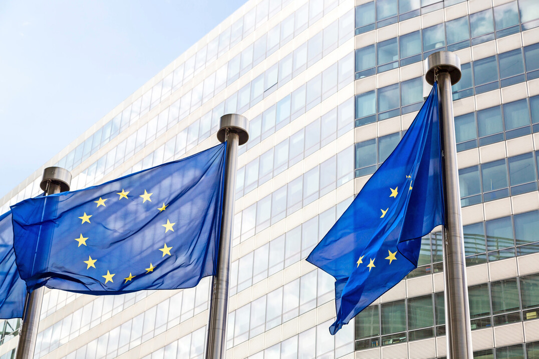 Der Agrarökonom Alan Matthews machte im Landwirtschaftsausschuss des Europaparlaments deutlich, dass er die Bedenken zu Wettbewerbsverzerrungen durch die GAP-Reform als übertrieben bewertet.