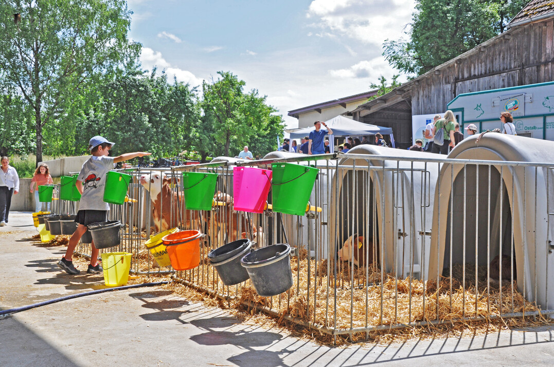 Die Bauernverbände rufen zur Teilnahme am diesjährigen Tag des offenen Hofes auf, der deutschlandweit am 13. und 14. Juni stattfindet.