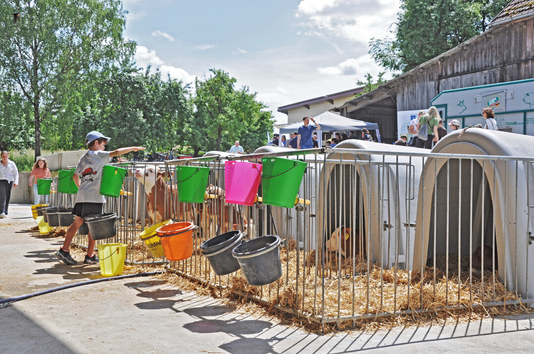 Die Bauernverb�nde rufen zur Teilnahme am diesj�hrigen Tag des offenen Hofes auf, der deutschlandweit am 13. und 14. Juni stattfindet.