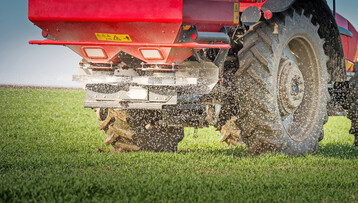 Mangel an Spurenn�hrstoffen kann auftreten, obwohl die Best�nde sonst gut ged�ngt sind. Manche N�hrstoffe sind im Boden schlecht f�r die Pflanze verf�gbar. Blattd�ngung kann an bei M�ngeln helfen.