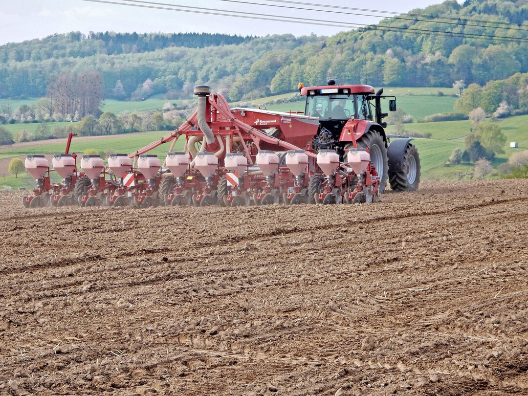 Nur in feinkrümeligem Boden keimt das Saatgut schnell. Verdichtungen und Staunässe hingegen sind Gift für einen gleichmäßigen Aufgang der Maissaat.