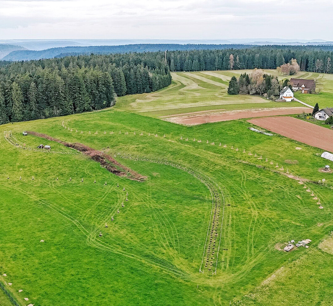 Das Agroforst-System mit rund 400 B�umen und Str�uchern auf einer Gr�nfl�che des Hofbauernhofs in Lo�burg-Sch�mberg aus der Luft betrachtet.
