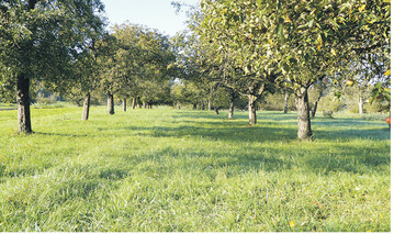 Nutzung von Landschaftspflegematerial als Alternative zur „Vermaisung".