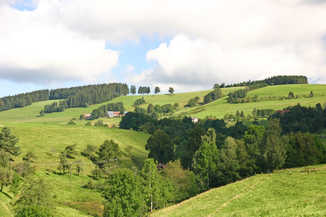 Landschaftspflegerichtlinie-Vertr�ge seien einerseits gut, jedoch bestehe das Problem der FFH-Fl�chen-Verschlechterung: Dieses Problem wurde auch im Rahmen der Mitgliederversammlung der Arbeitsgemeinschaft f�r H�henlandwirtschaft angesprochen.  