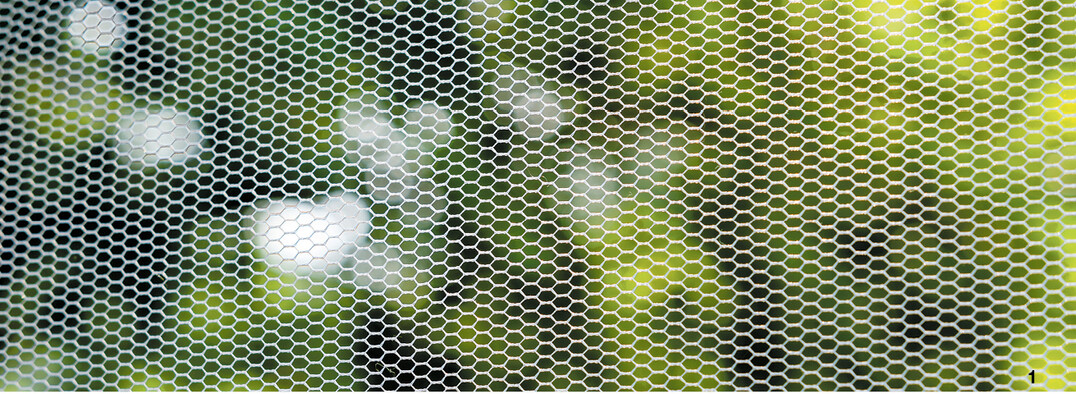 Daheim kann man sich mit engmaschigen Fliegengittern oder mit einem Moskitonetz vor Blutsaugern sch�tzen.