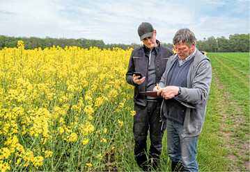 Die Frostsch�den hat der Raps meist weggesteckt. Die aussergew�hnlich lange Bl�te l�sst auf gute Ertr�ge hoffen. Zusammen mit den ordentlichen Preisen winken spannende Erl�se.