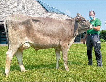 Diese Antonov-Tochter von Michael Schmaus, Rot a. d. Rot, knackte die 2000-Euro-Marke.