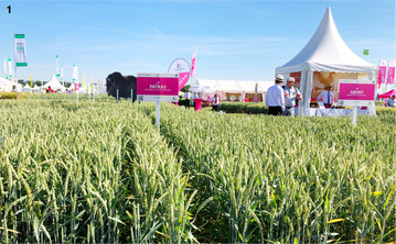 Die Pflanzenbest�nde pr�sentierten sich �berall pr�chtig.