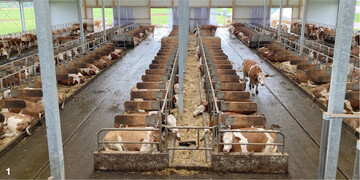 Der sechsreihige Milchviehstall mit den beiden au�enliegenden Futtertischen bietet f�r die K�he jede Menge Komfort. Gleichzeitig entweichen aus dem neugebauten Geb�ude weniger Emissionen.