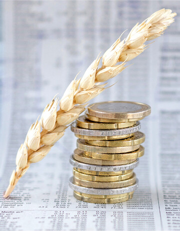 Im Getreidemarkt steckt viel Spekulation. Deutliche Preisr�cknahmen in den Kursen ab Mitte Mai haben noch einige Erzeuger zum Abschluss von Vorkontrakten bewegt.