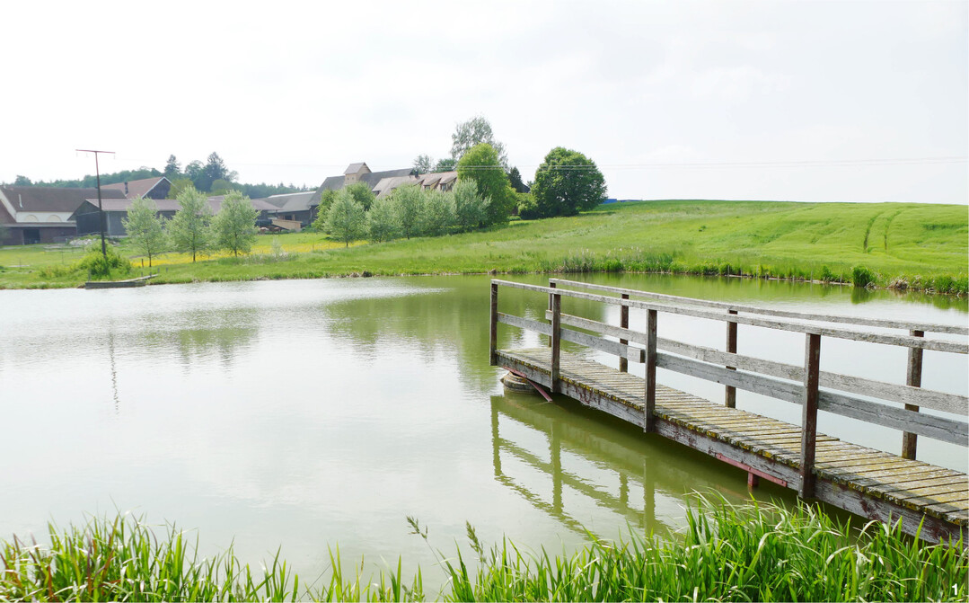 Der Wasserspeicher sieht aus wie ein idyllischer Teich und ist unterhalb der Hofstelle gelegen.