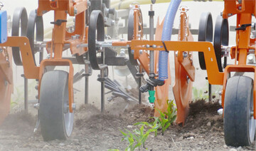 Ein Hackgerät mit Bandspritzeinrichtung kann den Einsatz von Pflanzenschutzmitteln reduzieren.