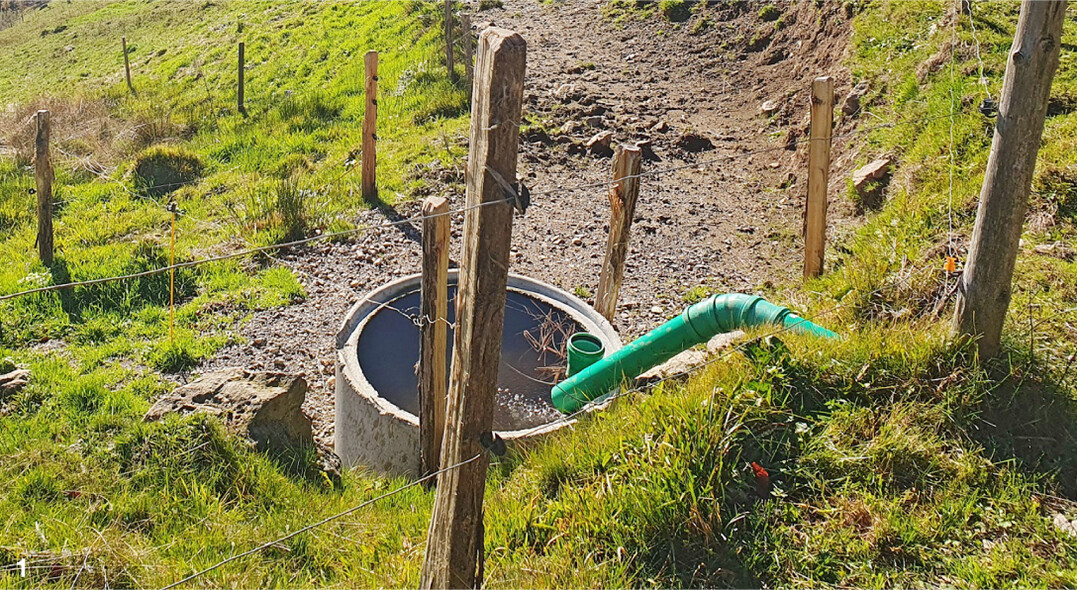 Mitgedacht: Die kurze Ausleitung aus dem Graben und die direkte R�ckf�hrung des �berlaufs sch�tzen das Biotop, um die Tr�nkestelle ist es trocken, das Wasser steht zwei Koppeln zur Verf�gung.