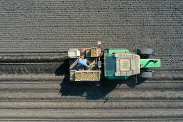 Kartoffeln sind neben Mais, Reben, Hafer und Sommergerste noch in der Beprobungsphase f�r den Nitratinformationsdienst.