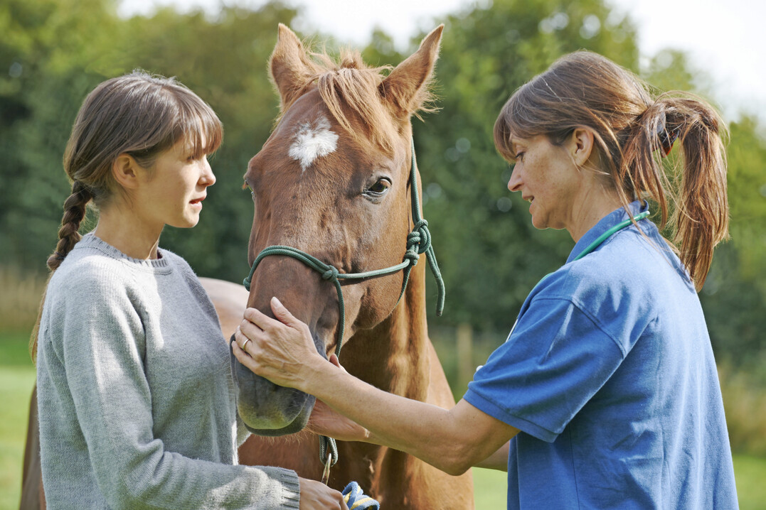 �Wer Betriebe zukunftsf�hig halten will, kann auf junge Frauen nicht verzichten. Punkt�, betont der Bundesvorsitzende des Bundes Deutscher Landjugend, Lars Ruschmeyer.