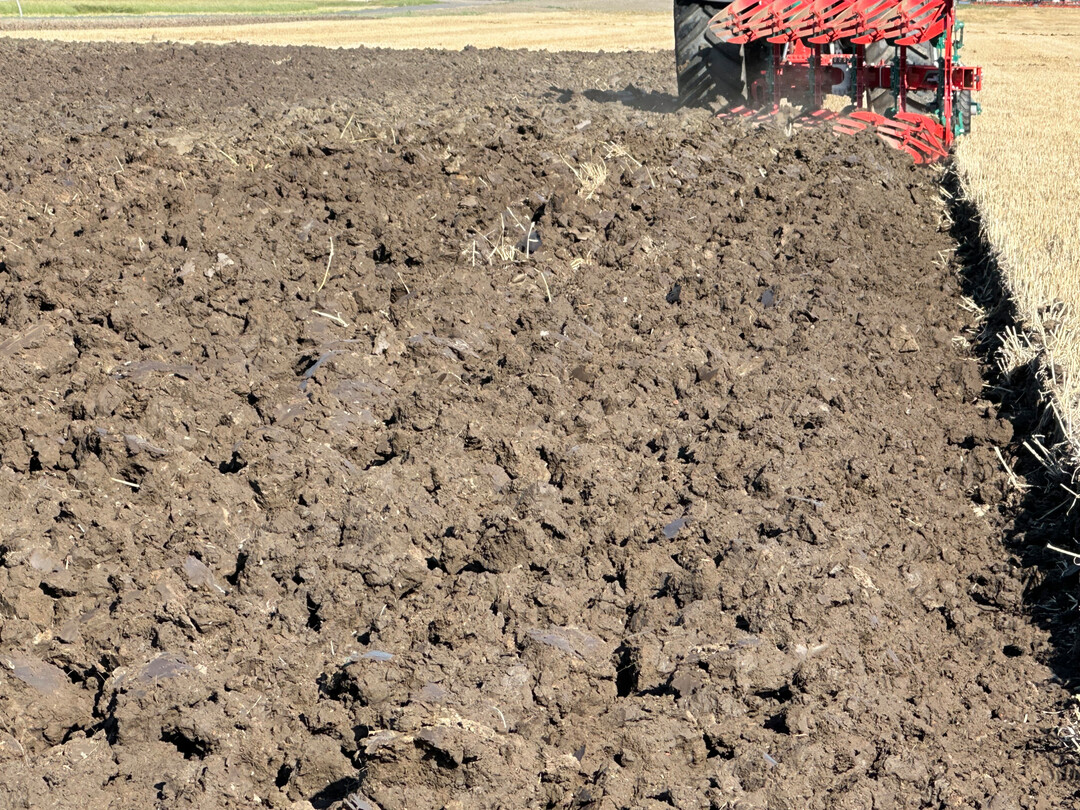 Ein Feld wird gepfl�gt.