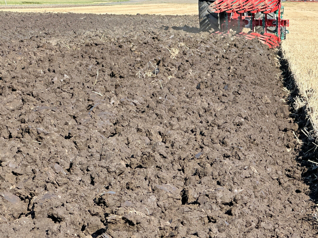 Ein Feld wird gepfl�gt.