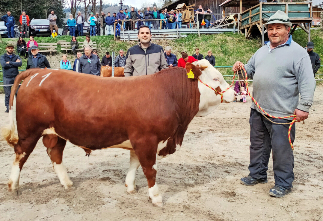 Labwal, ein Labflort-Sohn von Klaus Kiefer aus Aitern, war der am h�chsten eingestufte Bulle. 