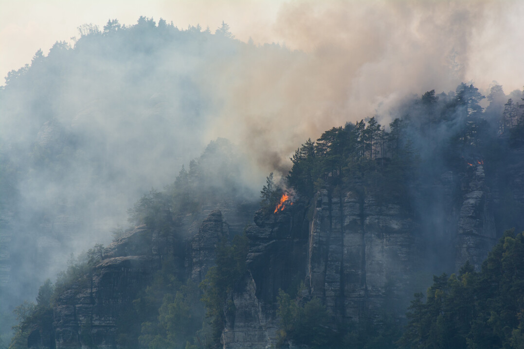 Rauch �ber einem Waldbrand.