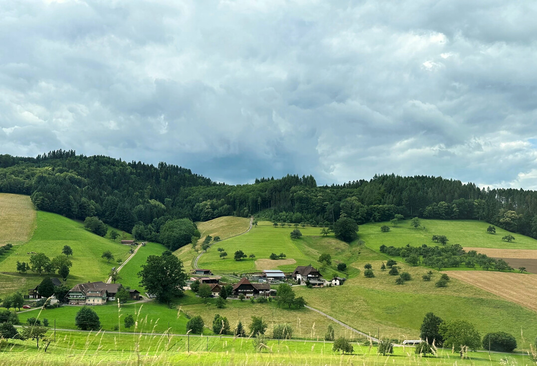 Die EU-Wiederherstellungsverordnung k�nnte f�r eine steigende Fl�chenkonkurrenz sorgen. 