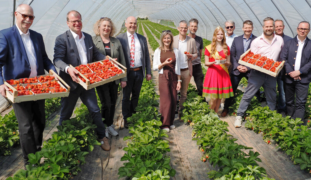 Vertreter aus Handel, Politik, Tourismus, Verb�nden und Landwirtschaft pr�sentieren in Oberkirch-Zusenhofen zusammen mit der Erdbeerk�nigin Martha Spraul (6. v. r.) die ersten Erdbeeren der Saison.        