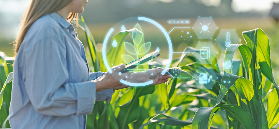 Laut der Landwirtschaftskammer Schleswig-Holstein soll der KI-Assistent einfach formulierte und handlungsorientierte Antworten geben, jedoch ohne Rechtsverbindlichkeit. Kritische Informationen sollten weiterhin durch reale Kammermitarbeiter gepr�ft werden.