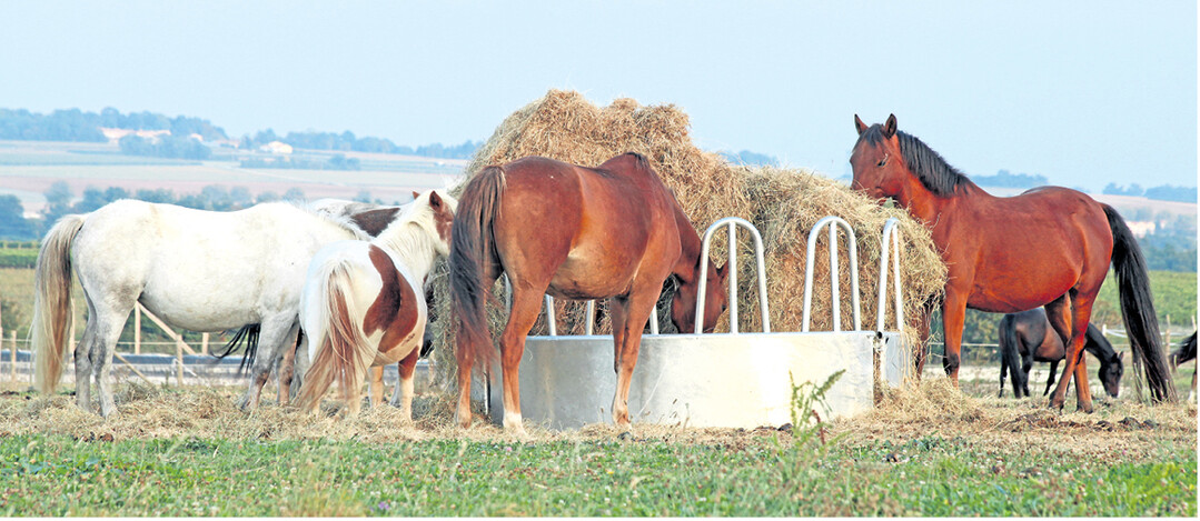 Wenn Pferde w�hlen k�nnen, verbringen sie die H�lfte des Tages mit der Futteraufnahme. Raufen gibt es f�r die Weide und f�r Boxen.