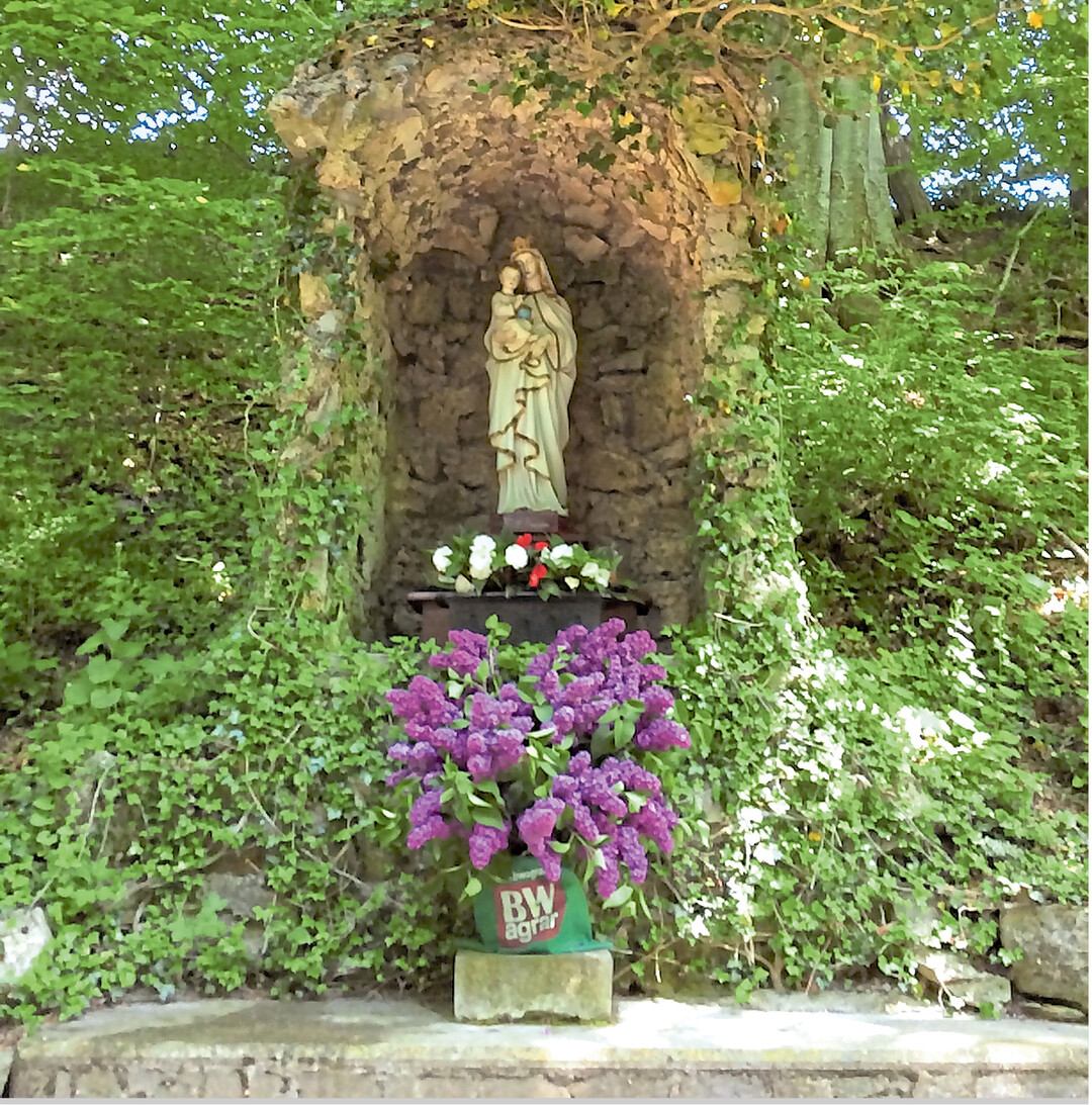 BWagrar hat f�r (fast) alle Lebenslagen eine L�sung parat. Hier dient die gr�ne BWagrar-Tasche, die es als Werbegeschenk auf Messen gibt, als �berzug f�r die Vase dieses pr�chtigen Blumenstrau�es. Das Motiv hatte Franziska Fischer in Friedberg (Bad Saulgau) an der Mariengrotte im Corain entdeckt.