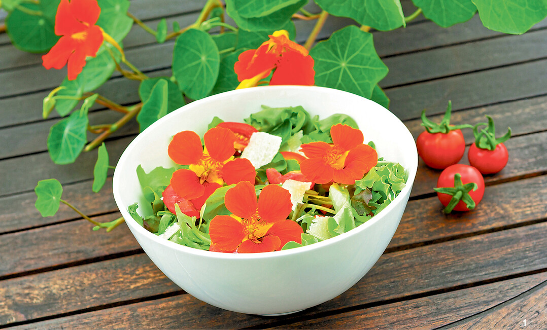 Die Bl�ten von Kapuzinerkresse geben Salaten einen frischen Pfiff.